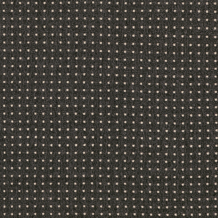 Lee Jofa Modern Tellus Obsidian Fabric Sample GWF-3764.21.0