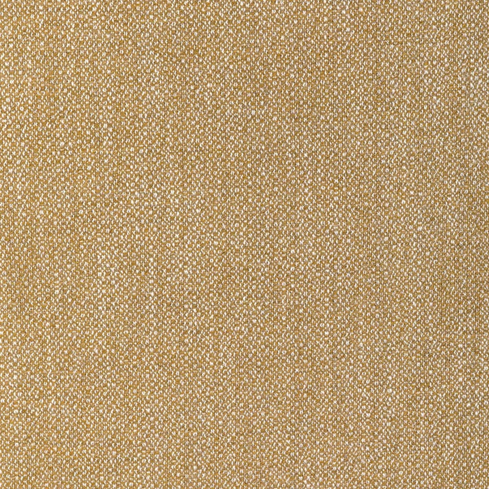 Lee Jofa Modern Torus Glow Fabric Sample GWF-3793.416.0