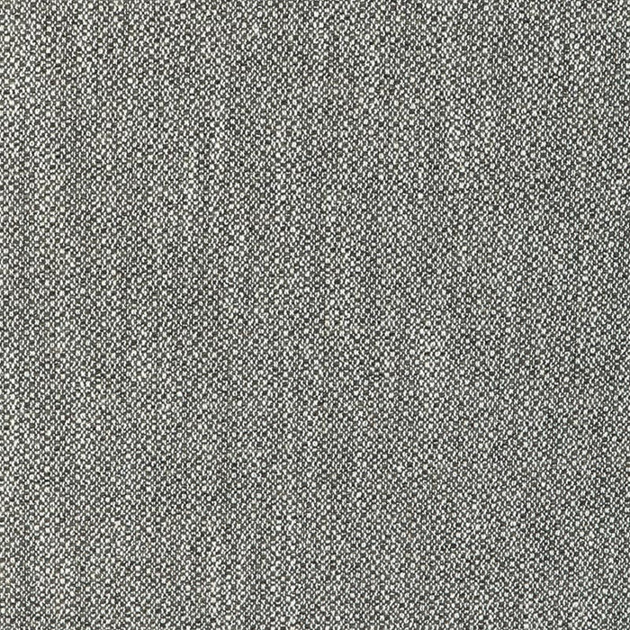 Lee Jofa Modern Torus Flint Fabric GWF-3793.8106.0