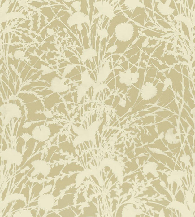 Grey Watkins Wildflower Oat Fabric GW 000116623