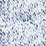 Grey Watkins Jamboree Blues Wallpaper Sample GW 0002WP88507