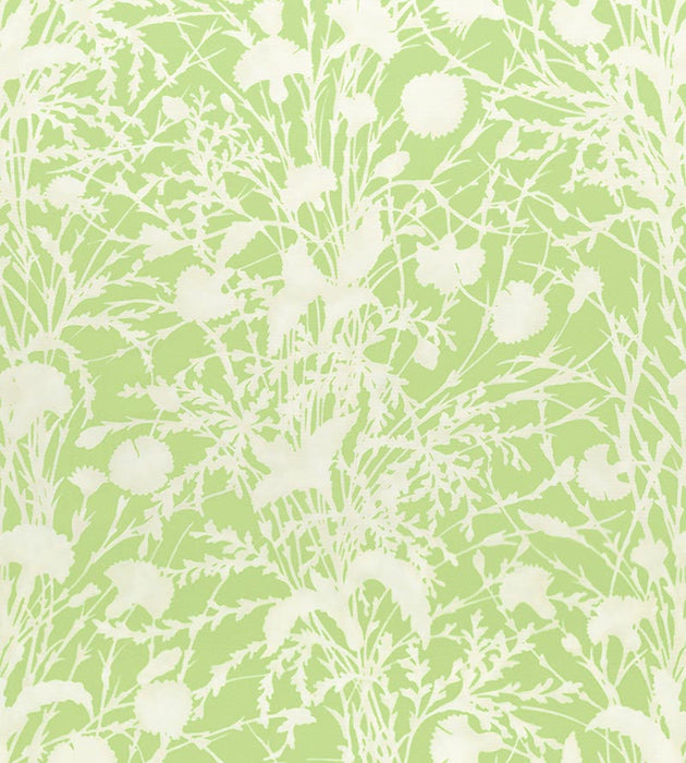 Grey Watkins Wildflower Grasshopper Fabric GW 000316623