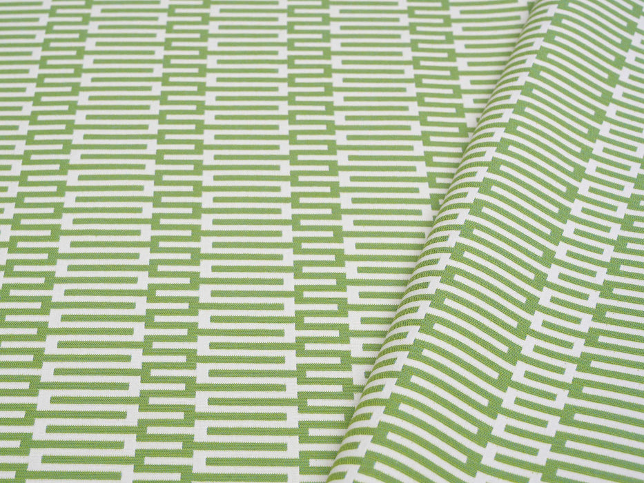 Pierre Frey Zipper Vert Fabric Sample F3480003