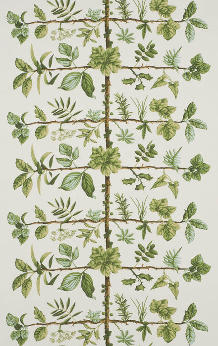 Pierre Frey Espalier Foin Wallpaper FP169002