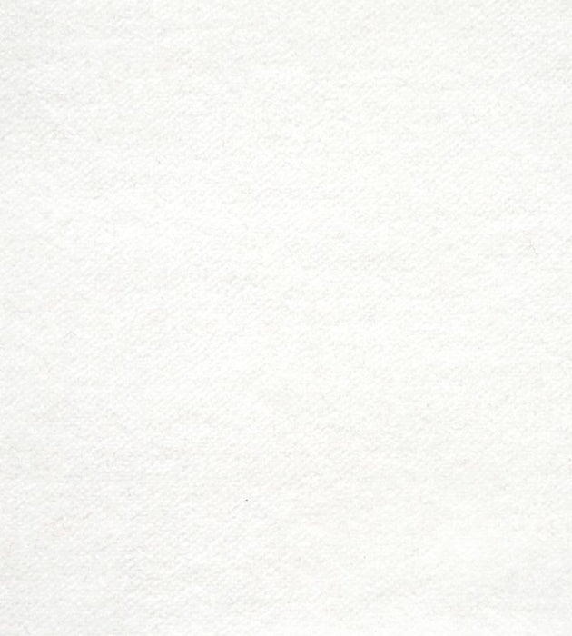 Lelievre Cosmos Talc Fabric H0 00010383