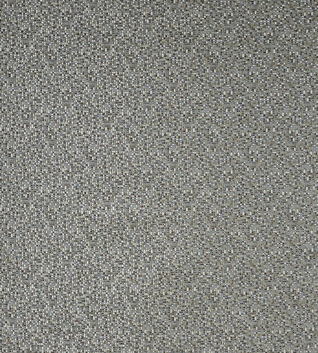 Lelievre Caracalla Platine Fabric Sample H0 00030550