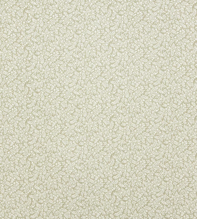 Lelievre Rameaux Naturel Fabric Sample H0 00054245