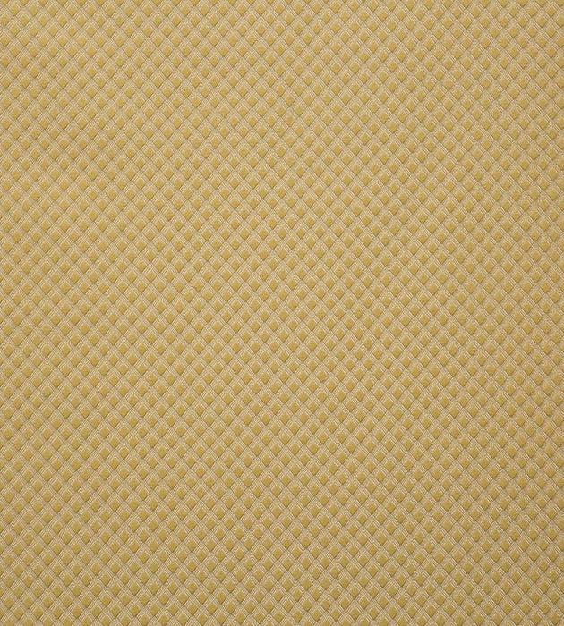 Lelievre Quadrille Or Fabric H0 00060569