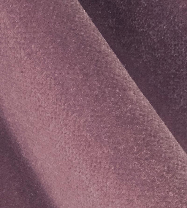 Lelievre Berry Glycine Fabric Sample H0 00080363