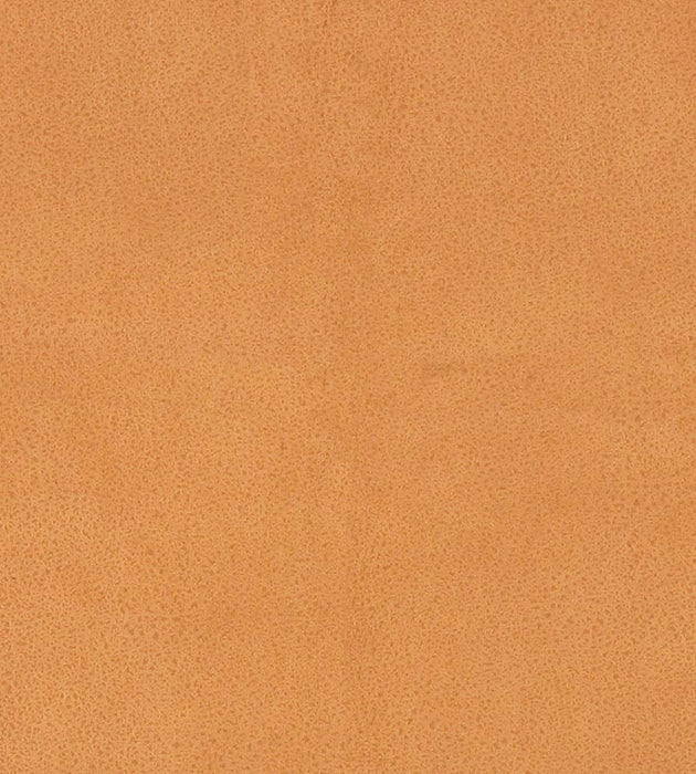 Lelievre Western Antilope Fabric H0 00110533