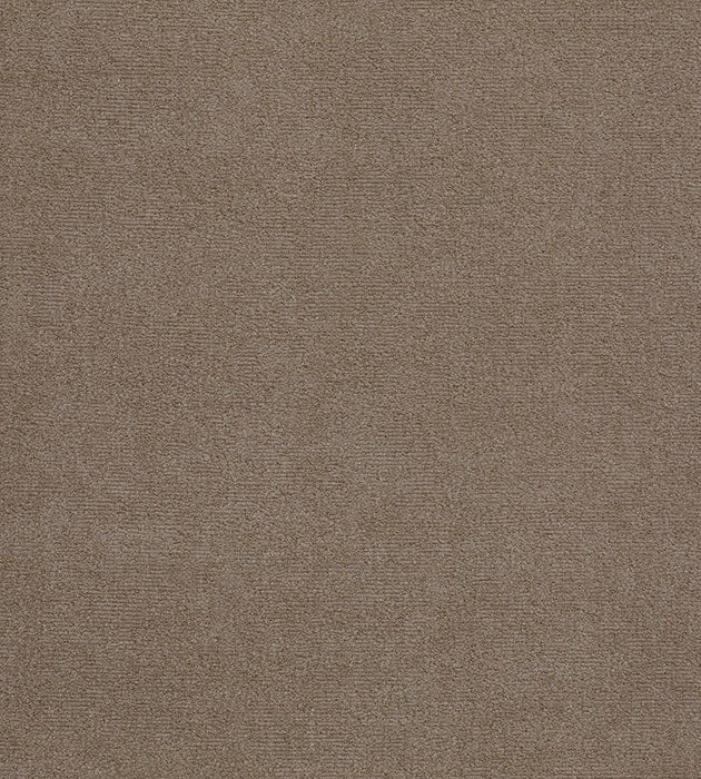 Lelievre Fuji Velour Ficelle Fabric Sample H0 00110552