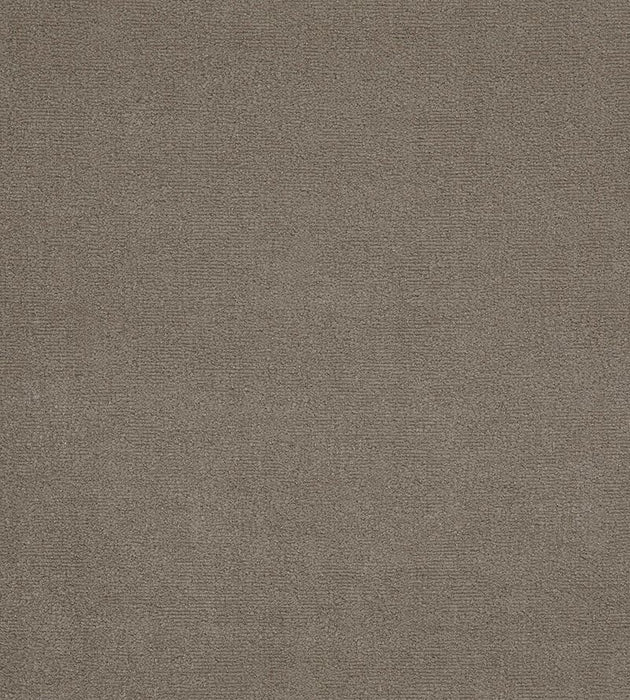 Lelievre Fuji Velour Tourterelle Fabric Sample H0 00120552