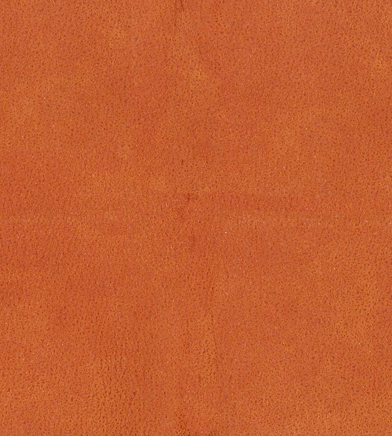 Lelievre Western Fauve Fabric H0 00130533