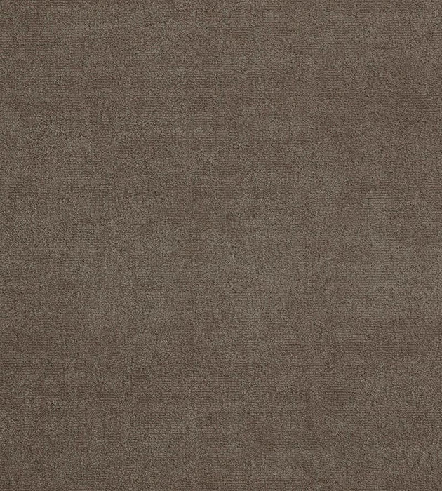 Lelievre Fuji Velour Mastic Fabric H0 00130552