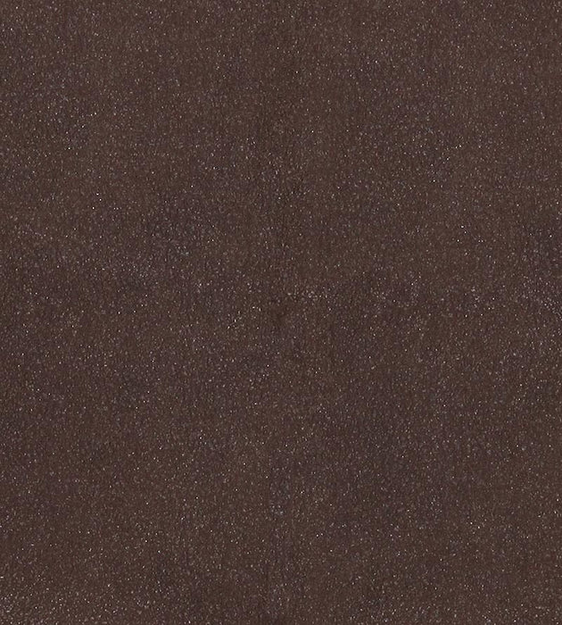 Lelievre Western Truffe Fabric H0 00170533