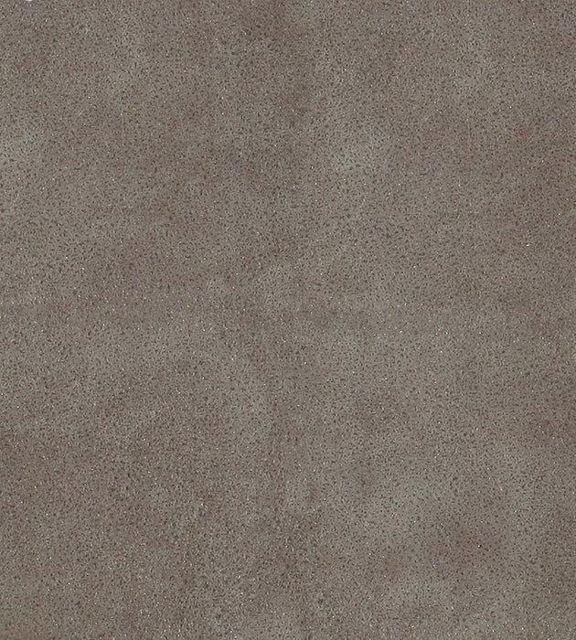 Lelievre Western Elephant Fabric H0 00180533