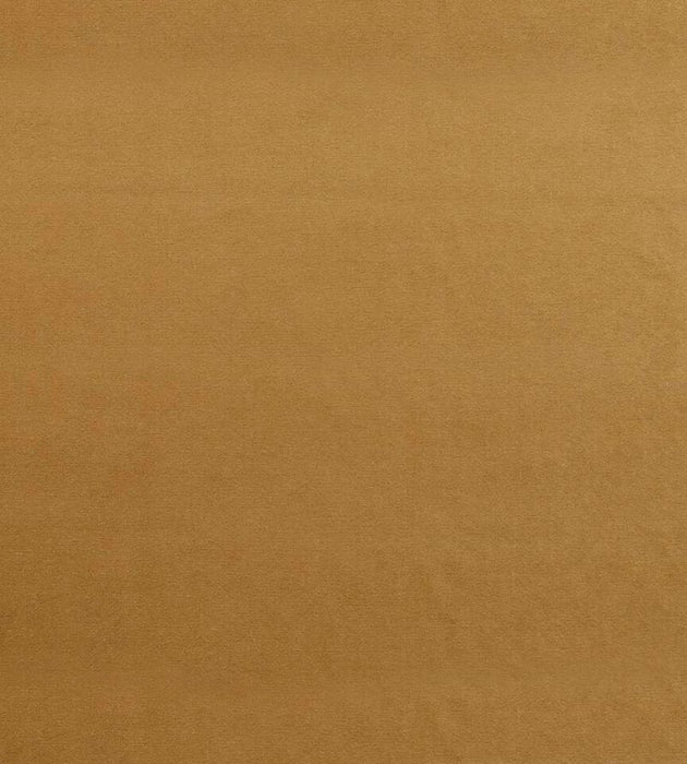 Lelievre Nabab M1 Sable Fabric Sample H0 00210324