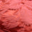 Tassinari & Chatel Couronne De Roses Rouge Fabric Sample H0 00211532