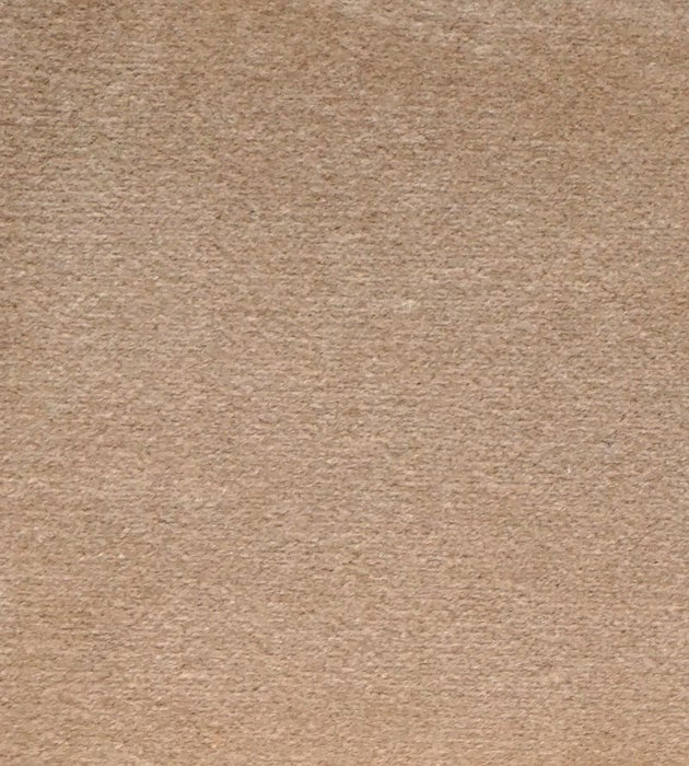 Lelievre Cosmos Dune Fabric Sample H0 00430383