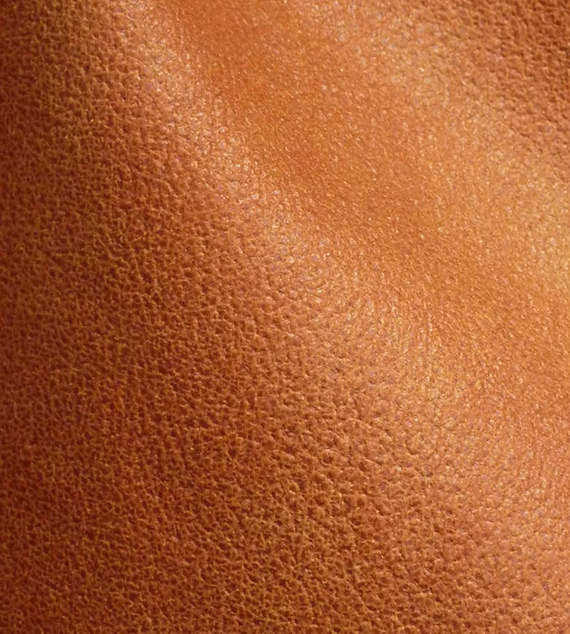 Lelievre Western Ombre Fabric H0 00060533