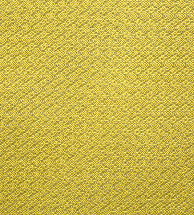 Lelievre Colibri Citron Fabric Sample H0 00010560