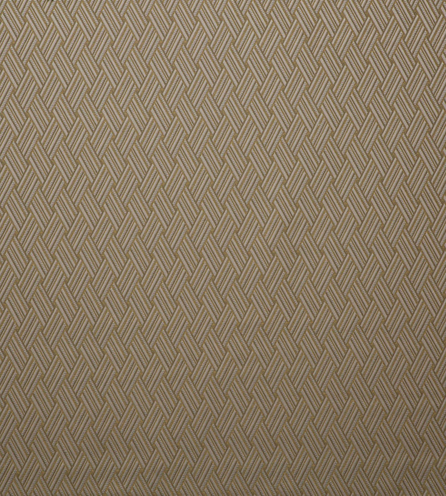 Lelievre Vacoa Bronze Fabric Sample H0 00070568