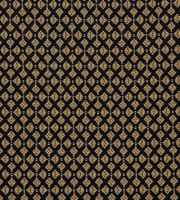 Lelievre Club M1 Alezan Fabric H0 L0020797