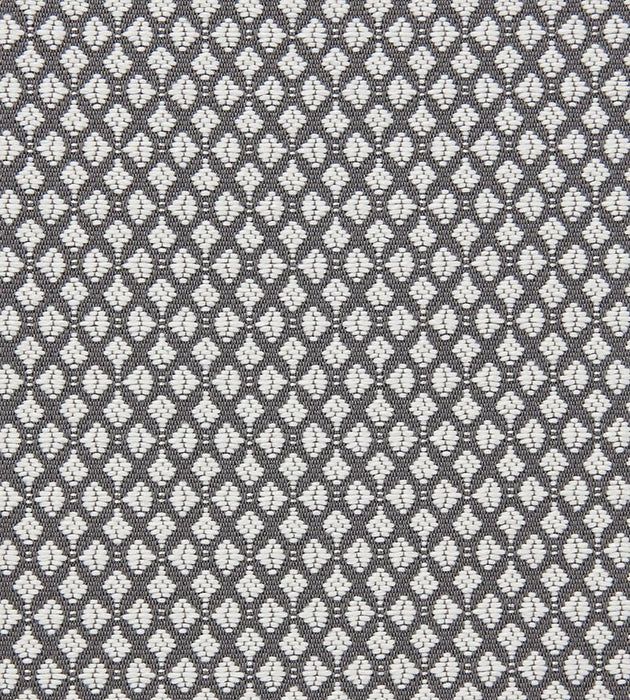 Lelievre Club M1 Rouan Fabric H0 L0050797