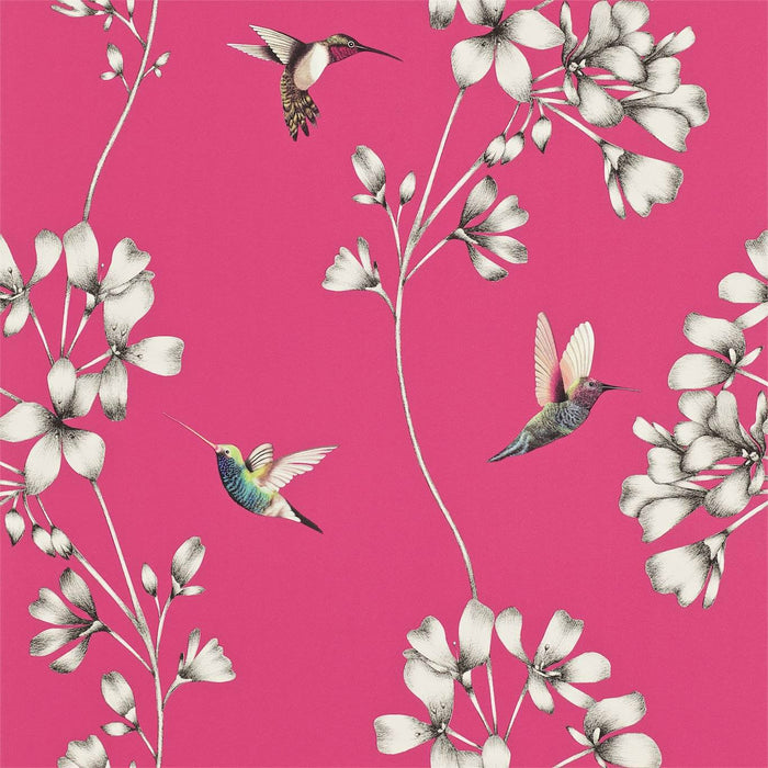 Harlequin Amazilia Flamingo 111058 Wallpaper Sample HAMA111058