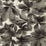 Harlequin Grounded BlackEarth/Parchment Wallpaper HC4W113005