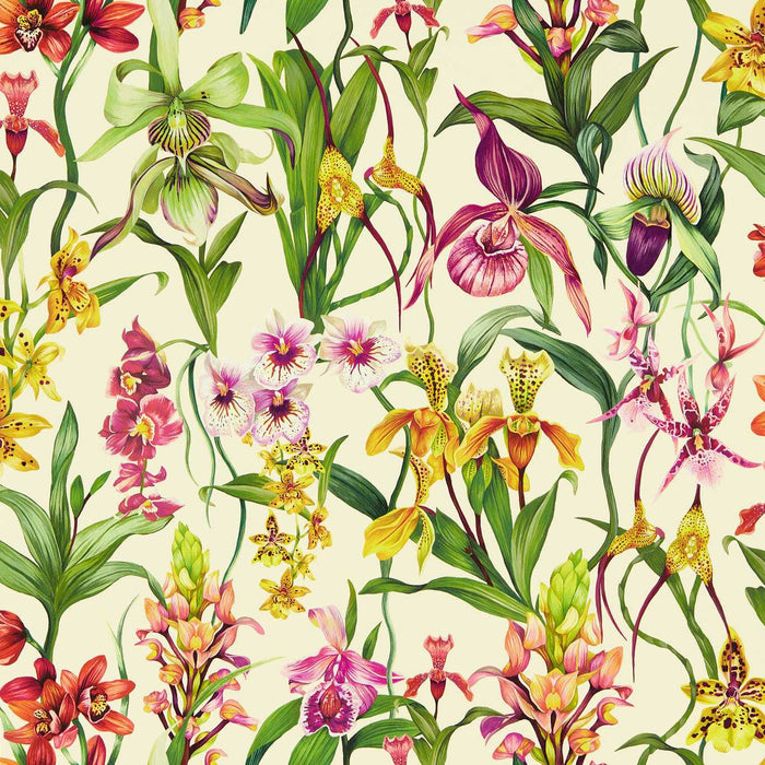 Harlequin Kalina Parchment/Forest/Azalea Wallpaper HC4W113009