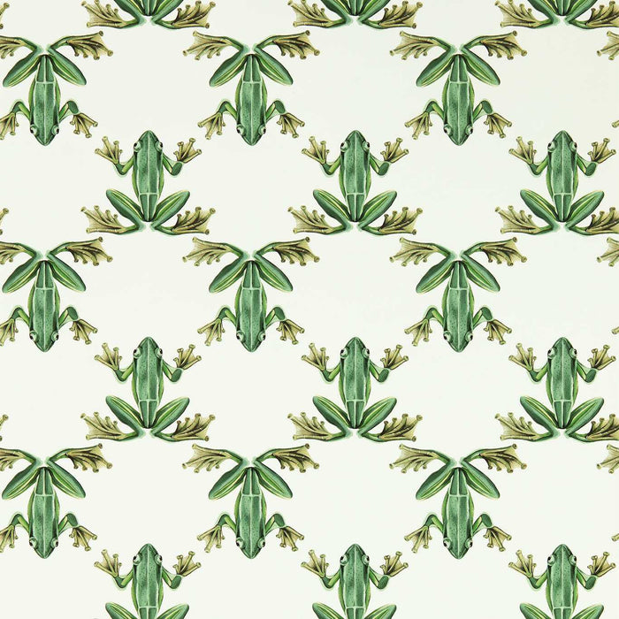 Harlequin Wood Frog Forest/Chalk Wallpaper Sample HC4W113011