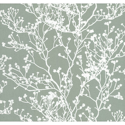 York Budding Branch Silhouette Green Wallpaper HC7519