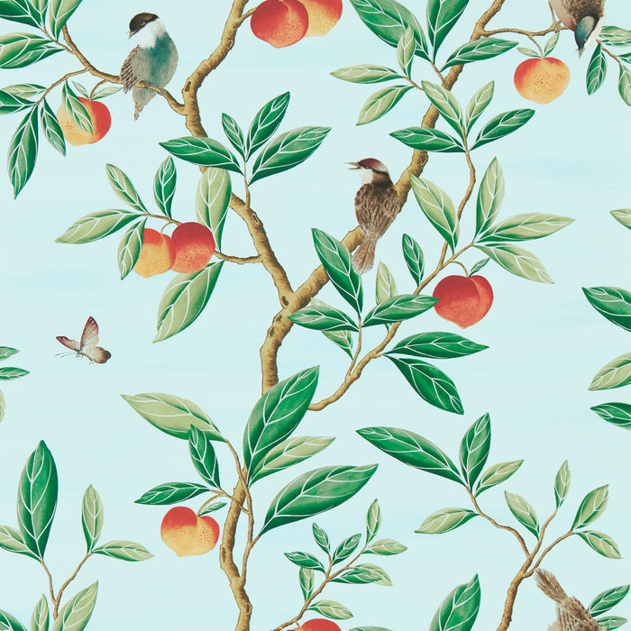 Harlequin Ella Sky/Fig Leaf/ Nectarine 112908 Wallpaper Sample HDHW112908