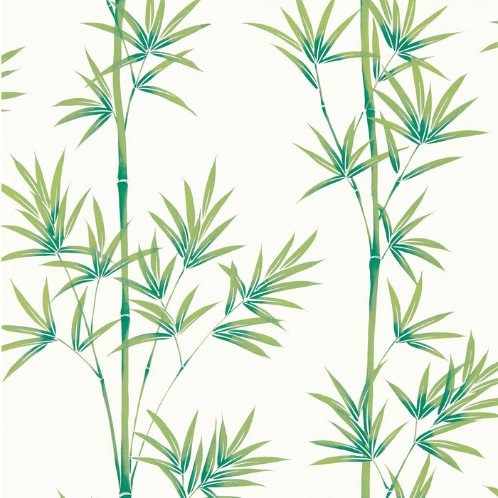 Harlequin Isabella Porcelain/Bamboo 112915 Wallpaper Sample HDHW112915