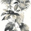 Seabrook Designs Leaf Stripe Inkwell Wallpaper HG10000