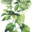 Seabrook Designs Leaf Stripe Summer Fern Wallpaper Sample HG10004