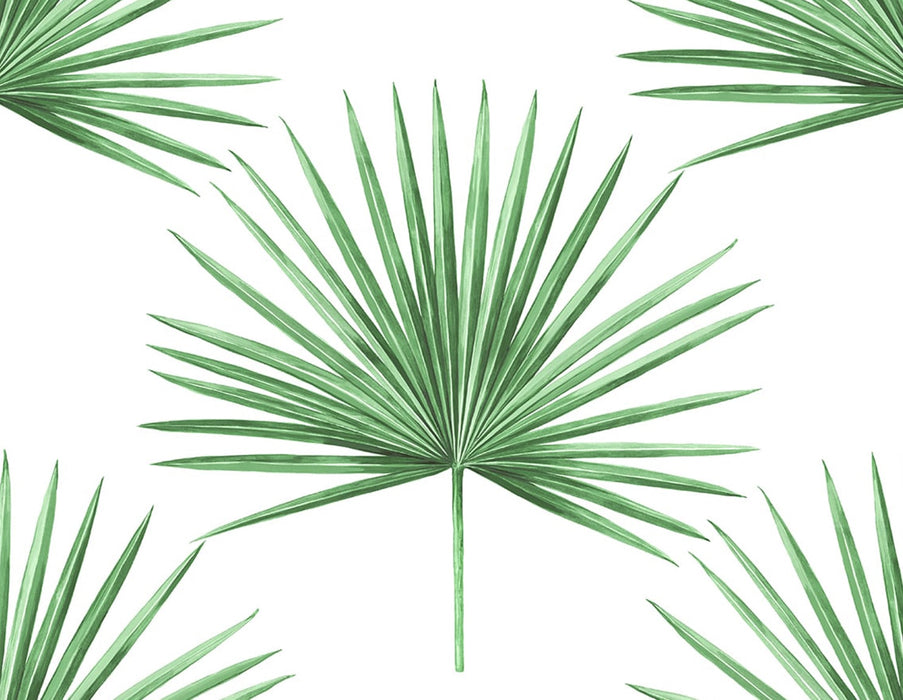 Seabrook Designs Pacific Palm Greenery Wallpaper HG10414