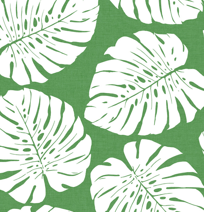 Seabrook Designs Monstera Leaf Green Wallpaper HG10504