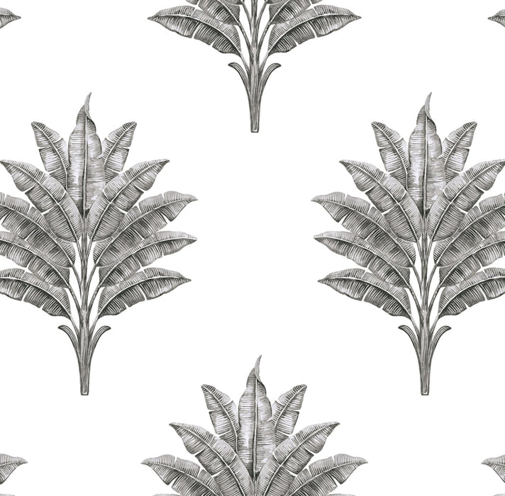 Seabrook Designs Sea Breeze Palm Charcoal Wallpaper HG10600