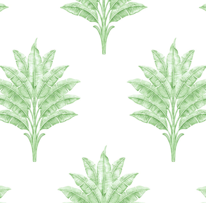 Seabrook Designs Sea Breeze Palm Greenery Wallpaper HG10604