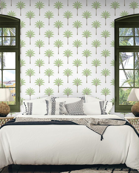 Seabrook Designs Montgomery Palm Green Tea Wallpaper HG10704