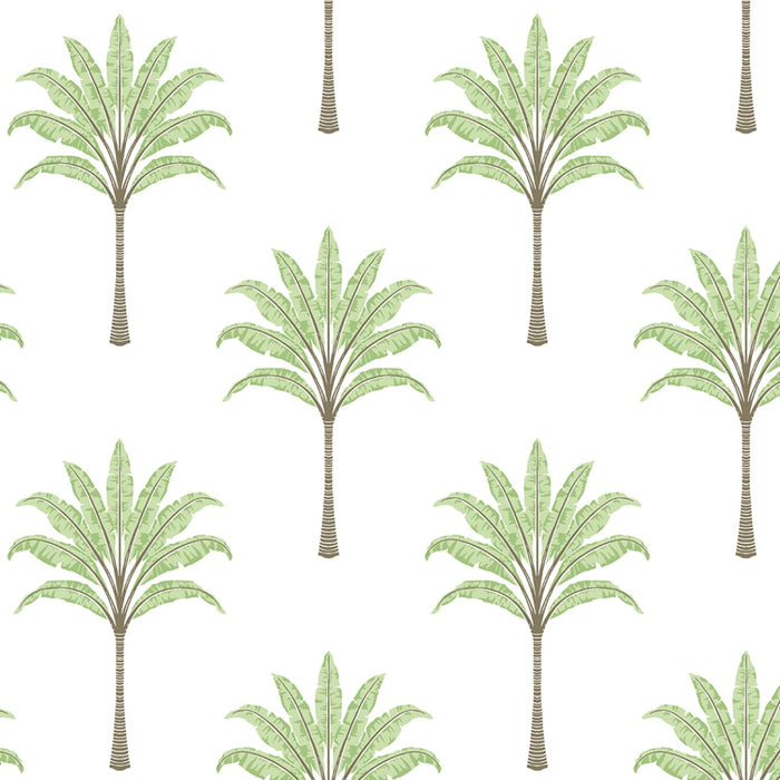 Seabrook Designs Montgomery Palm Green Tea Wallpaper HG10704