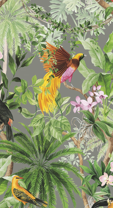 Seabrook Designs Tropical Bird Grey Wallpaper HG10908