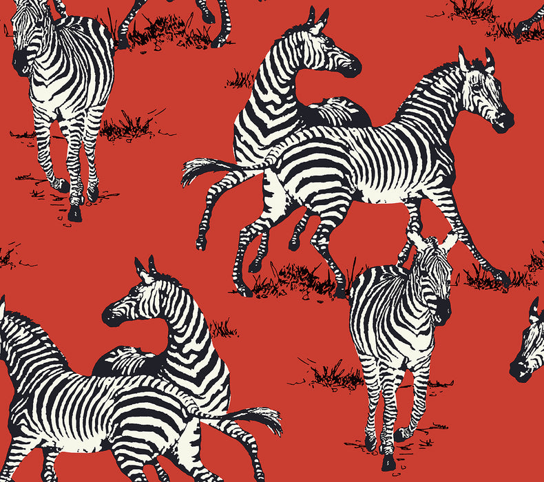 Seabrook Designs Playful Zebras Red Wallpaper HG11101