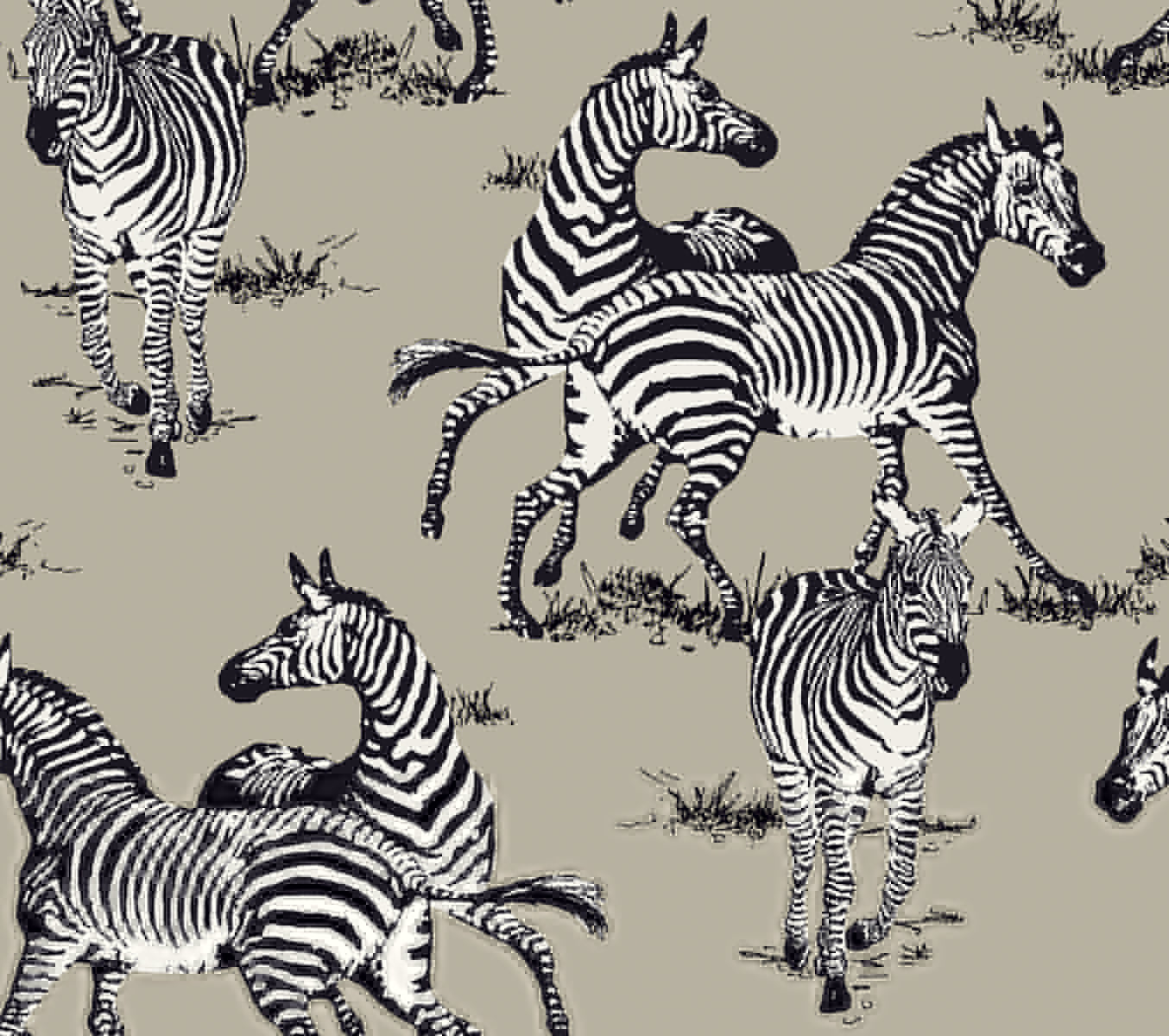 Seabrook Designs Playful Zebras Pavestone Wallpaper HG11110