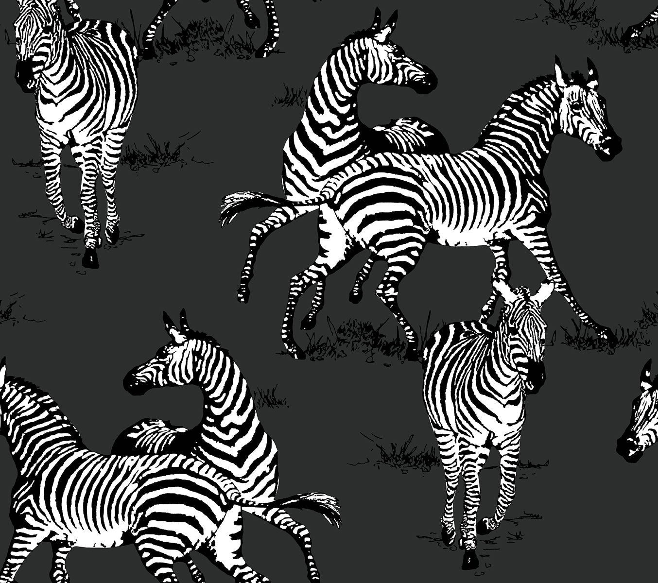 Seabrook Designs Playful Zebras Charcoal Wallpaper HG11120