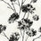 Seabrook Designs Dandelion Floral Ebony Wallpaper HG12100