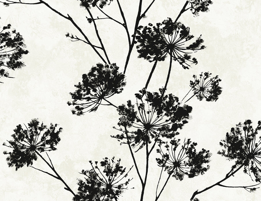 Seabrook Designs Dandelion Floral Ebony Wallpaper HG12100