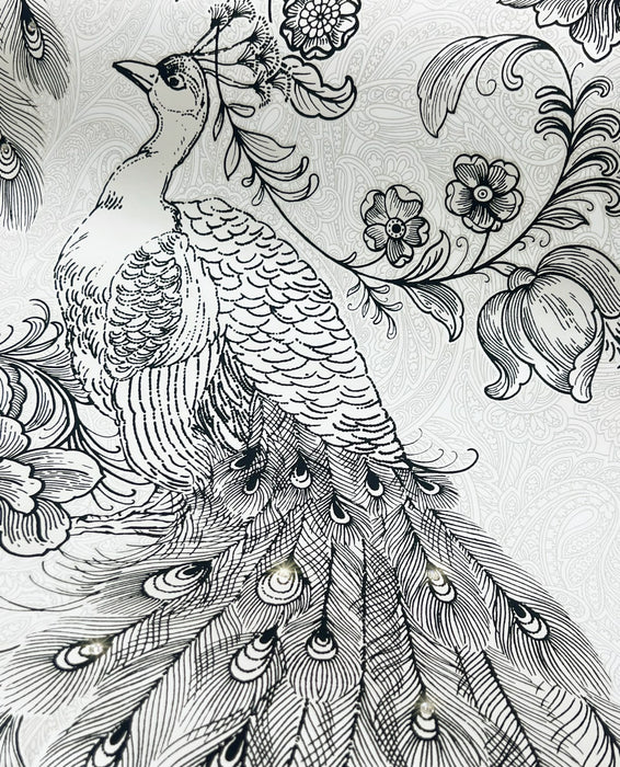 Seabrook Designs Peacock Ivory & Ebony Wallpaper HG12200